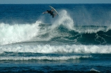 Surf jump