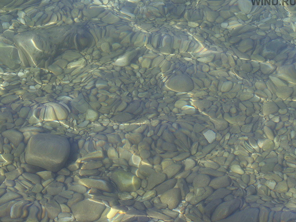 Black Sea Cup 06-Under Water